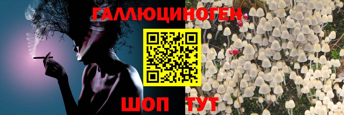 Искитим  Галлюциногенные грибы ЛСД  Псилоцибиновые грибы MAGIC MUSHROOMS  Вход с VPN 